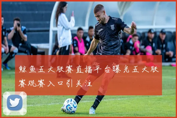 鲸鱼五大联赛直播平台曝光五大联赛观赛入口引关注