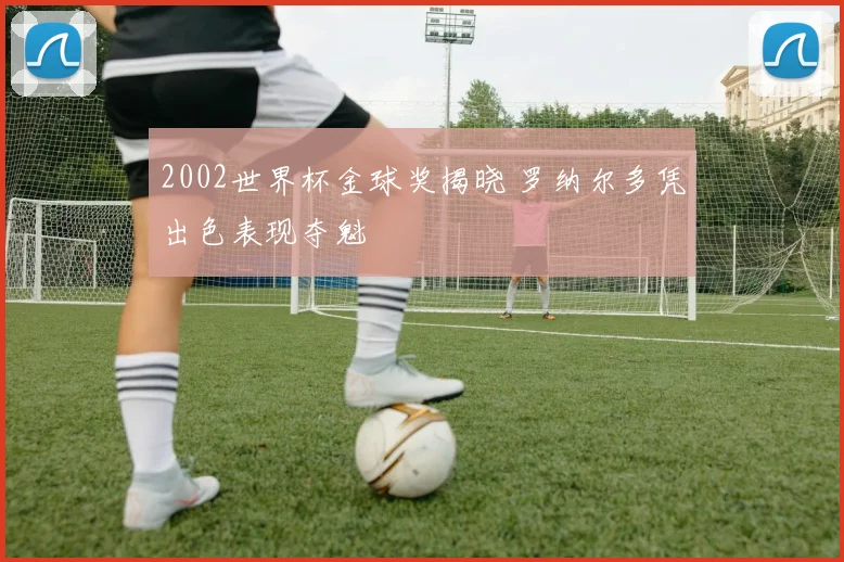 2002世界杯金球奖揭晓 罗纳尔多凭出色表现夺魁