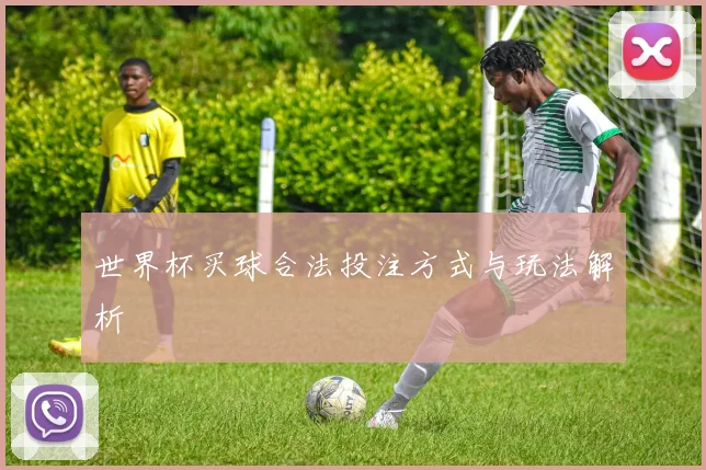 世界杯买球合法投注方式与玩法解析