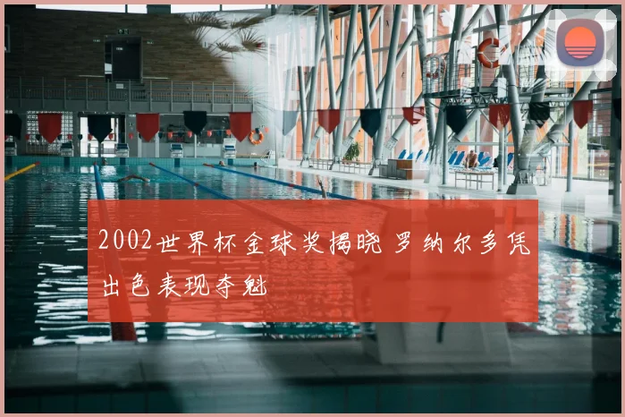 2002世界杯金球奖揭晓 罗纳尔多凭出色表现夺魁